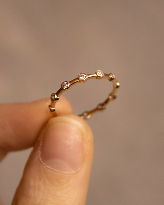 Anillo Órbita